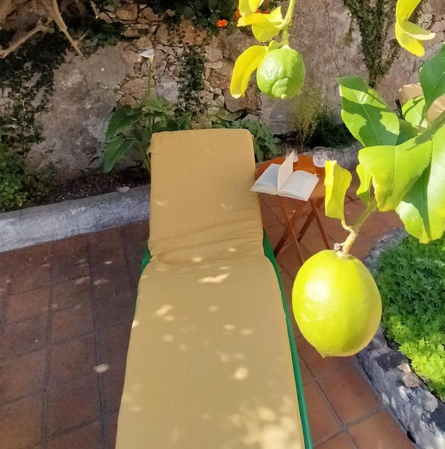 Apartment Cerca De La Playa, Con Bodega, Terraza Y Jardin Camino Portugues A Guarda